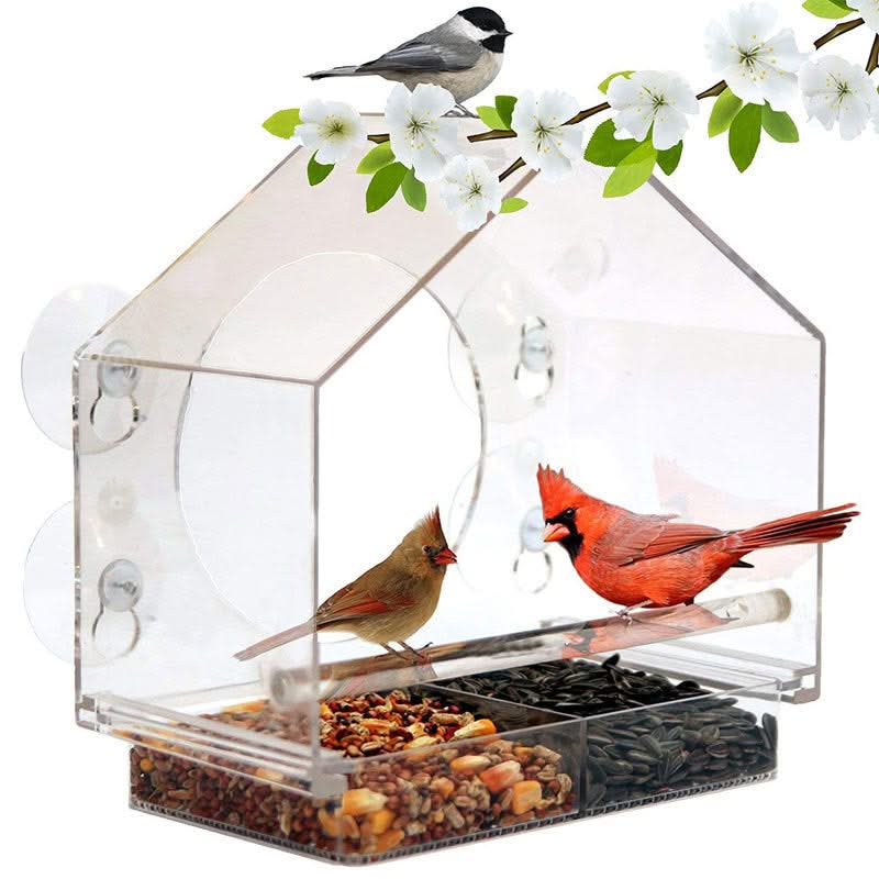 Crylic Bird Feeder