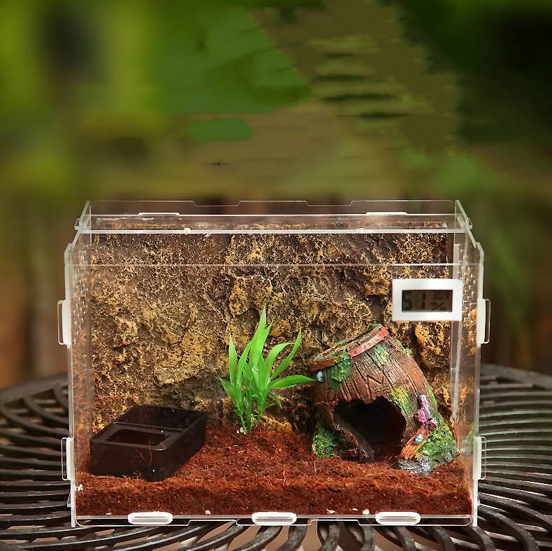 Reptiles Transparent Box