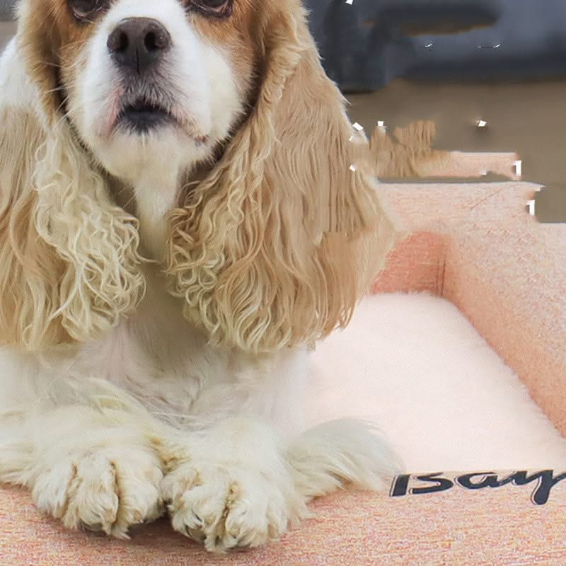 Removable And Washable bed