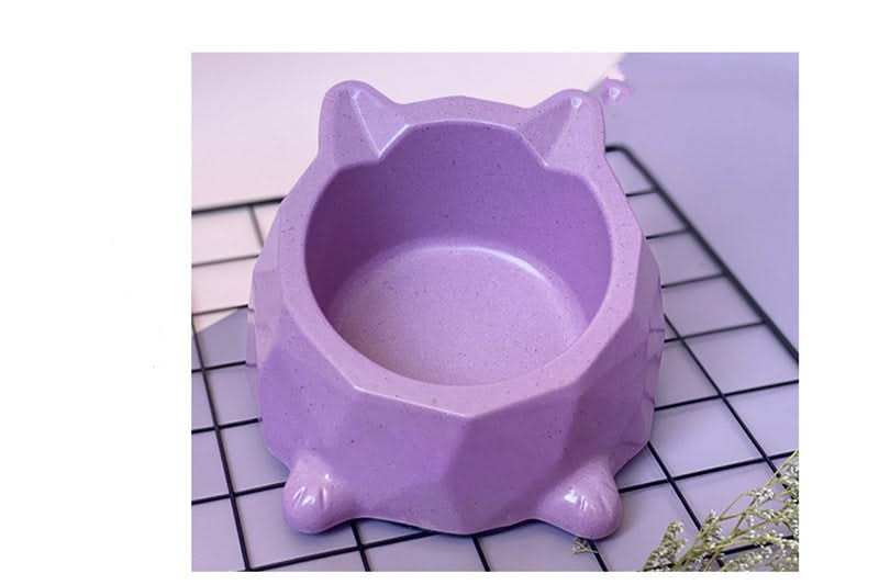Pet Food Bowl
