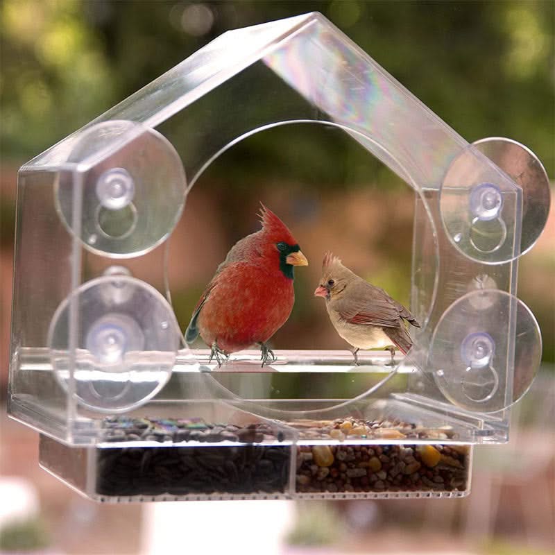 Crylic Bird Feeder