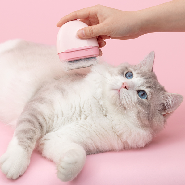 Cat Hair Comb