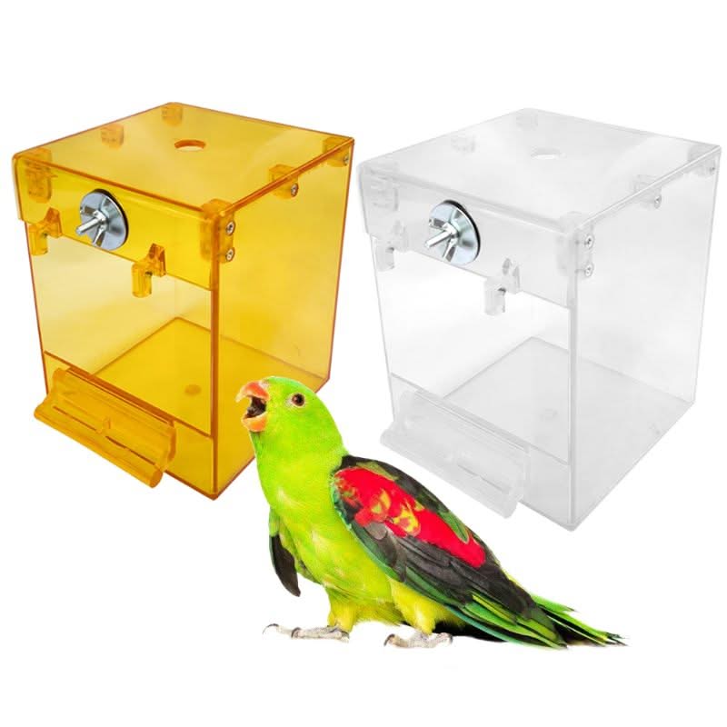 External Bird Bath