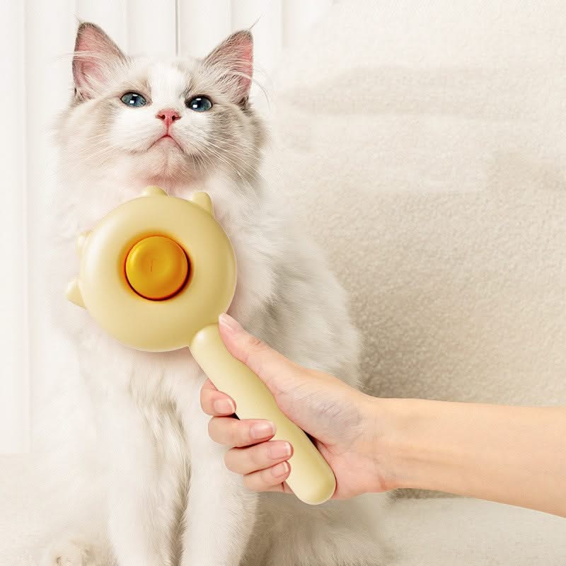Cat Hair Removel Brush