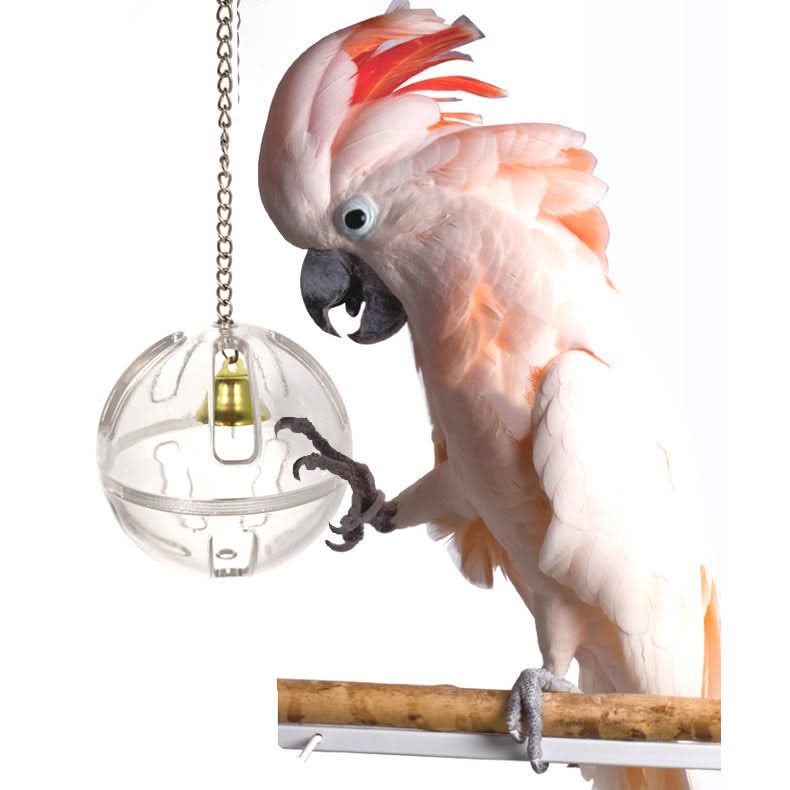 Pet Birds Toy Food Container