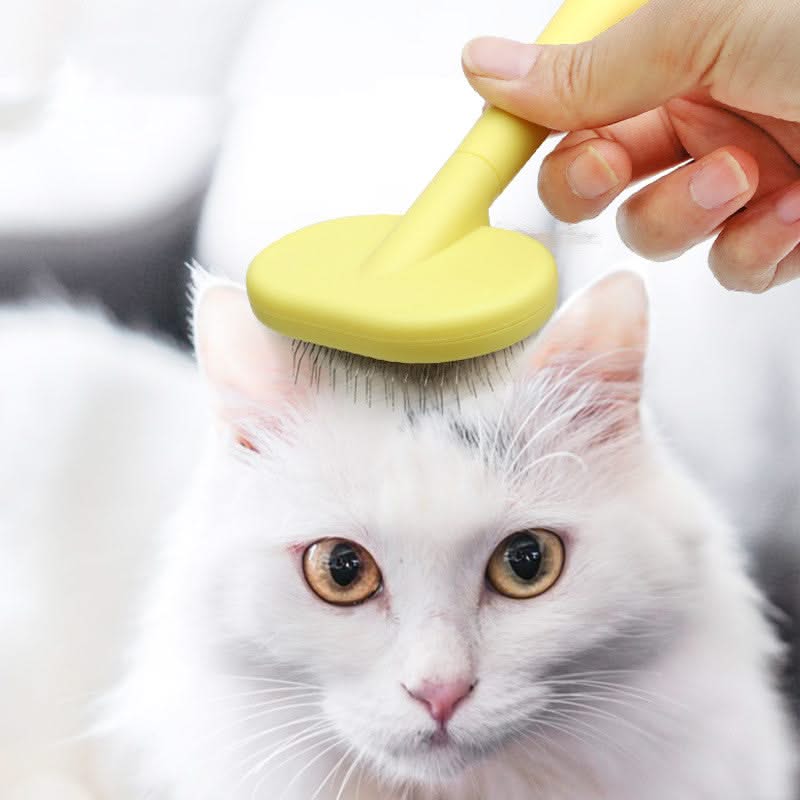 Pet Hair Brush