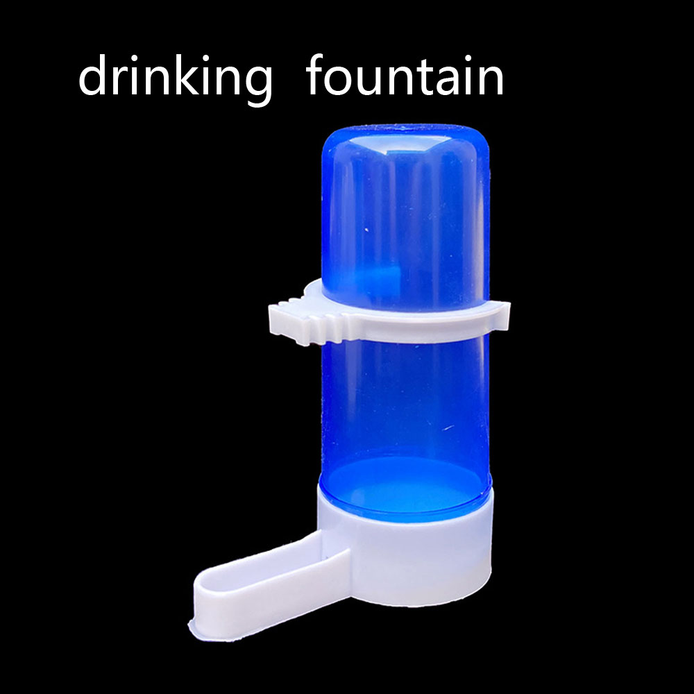Water Dispenser For Birds