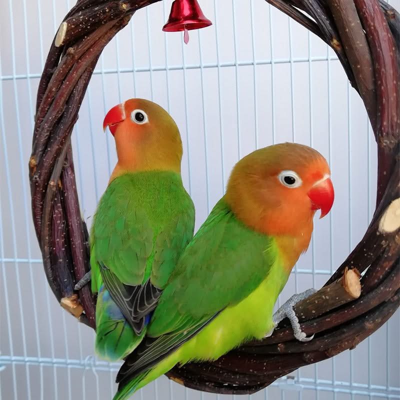 Bird Standing Frame Toy