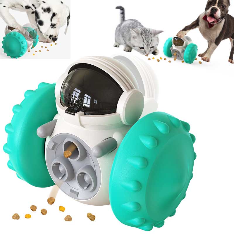 Cat Slow Food Interactive