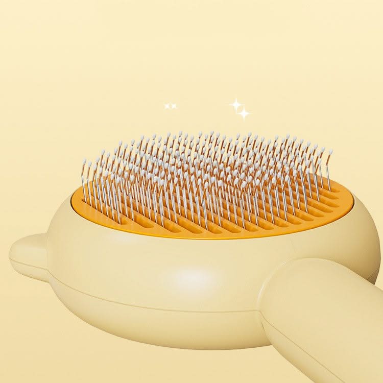 Cat Hair Removel Brush