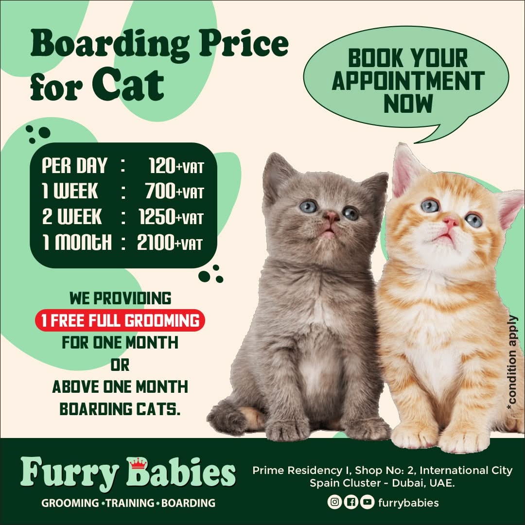 Cats boarding