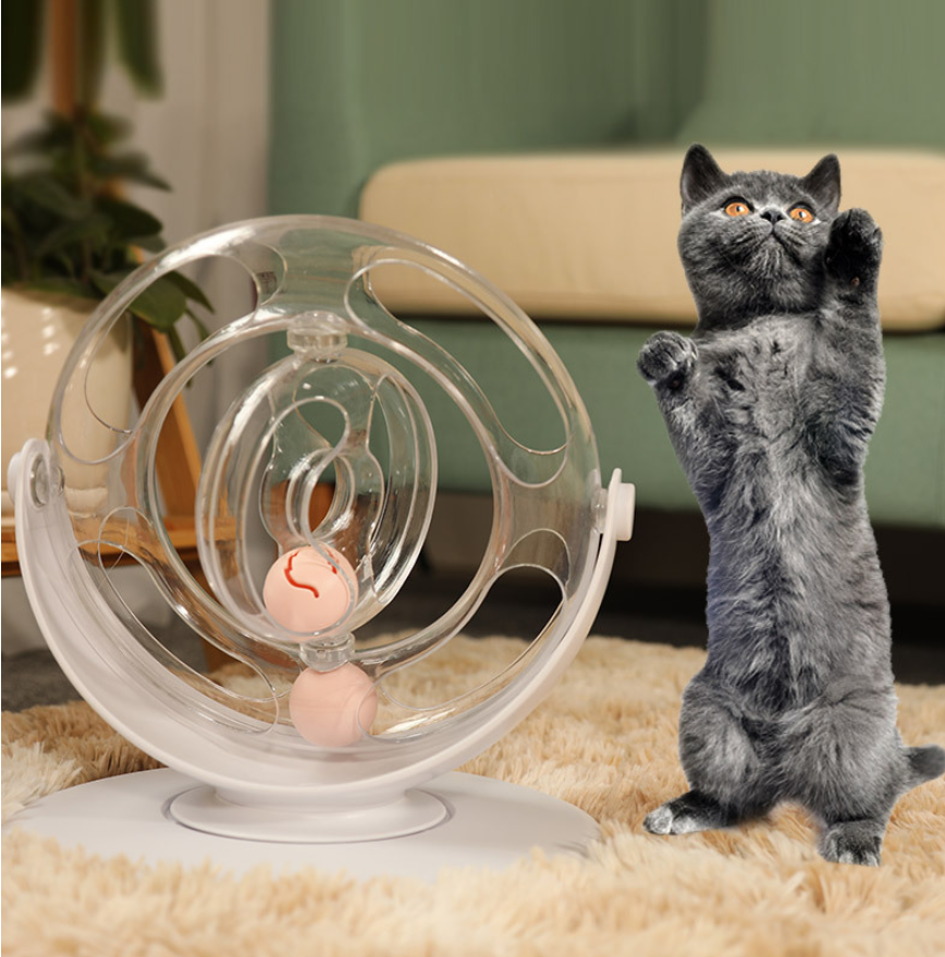 Cat Using A Turntable Cat turntable educational toys β Furry Babies Animals Trading