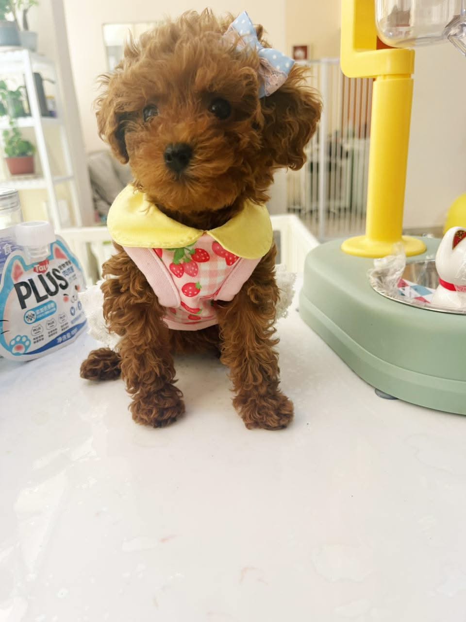 rn-image_picker_lib_temp_6dea8be4-23a3-4d67-8e6e-75f835888e20.jpg (960×1280)