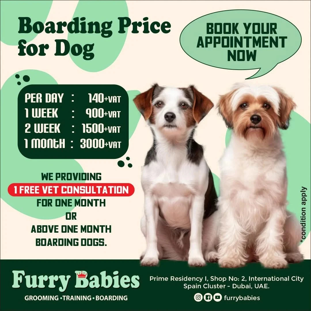 Dog Boarding Furry Babies Animals Trading